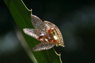 歌詩莉飾品 麥秸畫藝術點亮店鋪裝修，展現獨特產品魅力